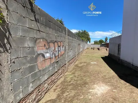 Alberto Nicasio 7127