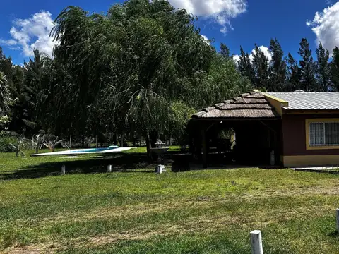 Avellaneda 135