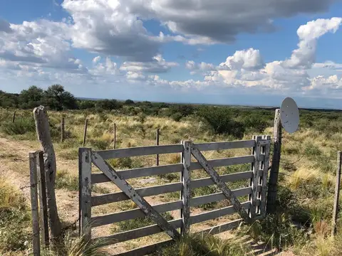 Campo en venta a 70 km de Merlo San Luis 417 hectáreas