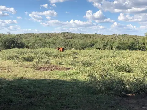 Tilisarao / Dep Chacabuco