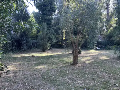 Terreno en Venta 15  mts Frente
