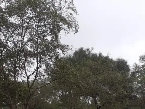 Campo a desarrollar en Icaño- Santiago del Estero