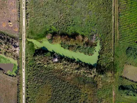 VENTA DE CAMPO 4 HECTAREAS CON TAJAMAR RUTA 75