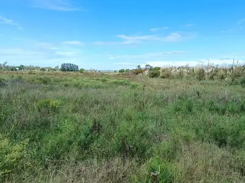 Punta Piedritas y Camino Vecinal 100