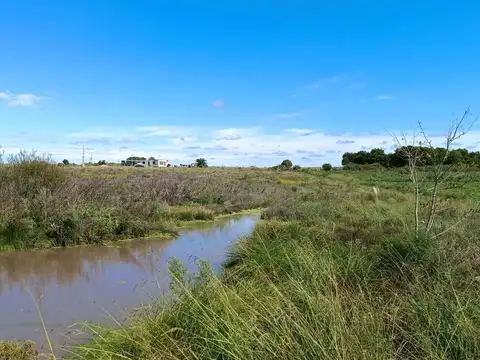 VENTA DE CAMPO 4 HECTAREAS CON TAJAMAR RUTA 75