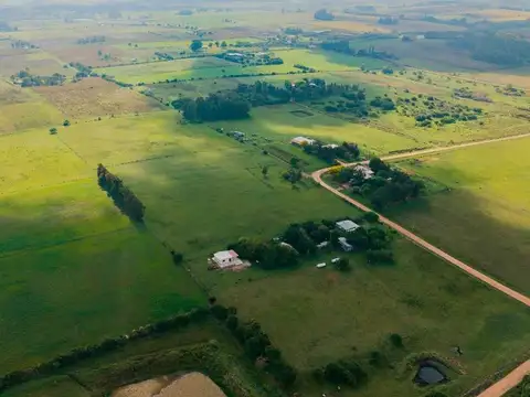 VENTA CHACRA 2,25 HA LOS CERRILLOS CANELONES