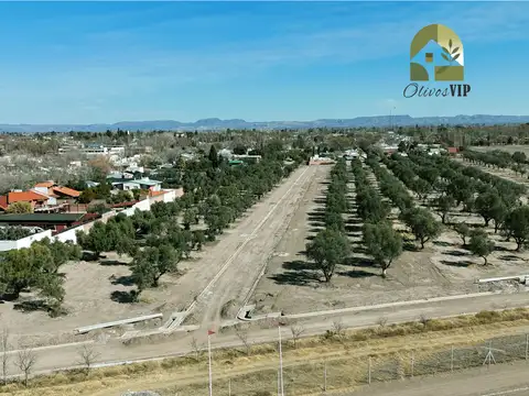 Terreno en Venta en San Rafael, USD 40.000