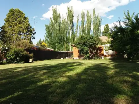 Quinta en Venta en Villa Regina, USD 70.000
