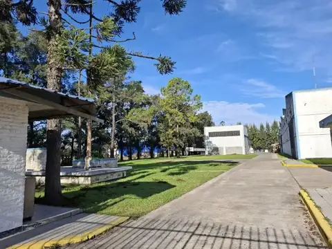 Pte. Ortiz Nª2545 e/ Drago