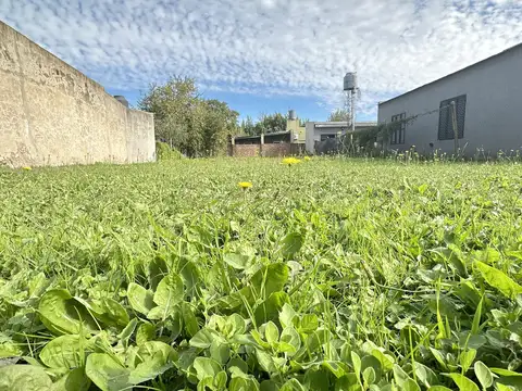 Terreno en Venta 34  mts Fondo