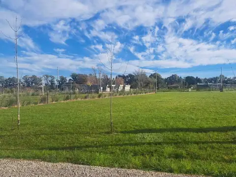 Terreno en Venta, FOT 0.8