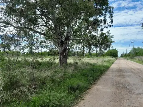 Terreno en Venta en Ministro Rivadavia, USD 54.000