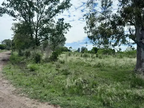 Terreno en Venta de 6383,0 m2