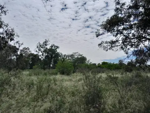 Terreno en Venta de 6383,0 m2