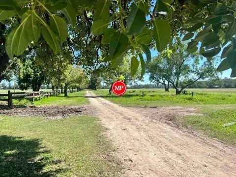 Campo en Venta de 34  ha