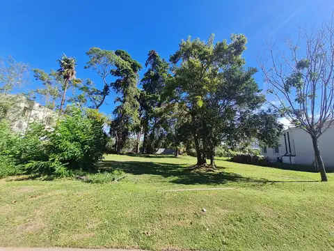 Lote con increible arboleda en San Matias Escobar