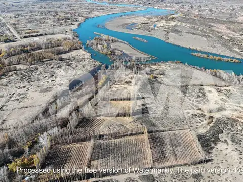 VENTA Chacra de 25,69ha en Isla 111, Senillosa