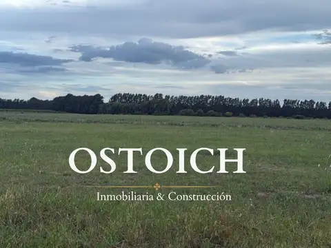 Lagos de Obligado- Lucio Mansilla 11200