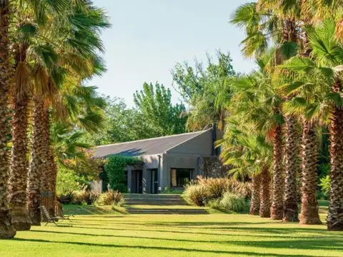San José de Calasanz 500