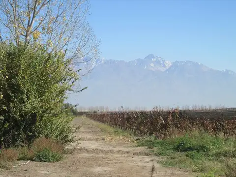 R.B. de Zapata