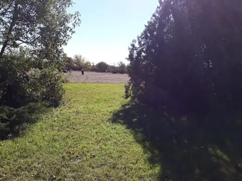 En El Corazon De La Colonia Suiza