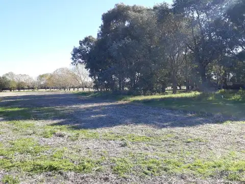 VENTA DE IMPORTANTE FRACCIONAMIENTO DE CAMPO