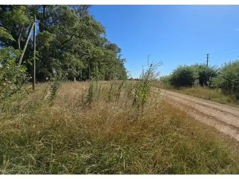 Campo - Uribelarrea