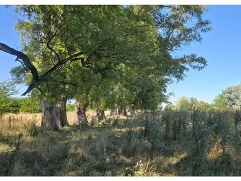 Campo en Venta de 3,54  ha