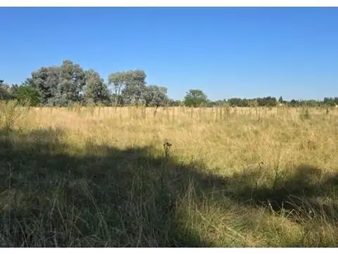 Campo - Uribelarrea
