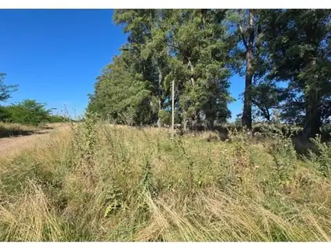 Campo en Venta de 3,54  ha