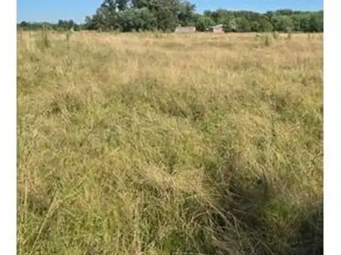 Campo - Uribelarrea