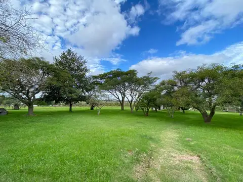 Camino de las Tropas 100