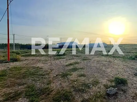 TERRENO ACCESO RUTA 51 (NEUQUEN-AÑELO)