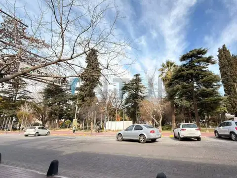 san martin 100, Piso 1