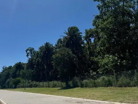 Terreno en Venta de 612,0 m2