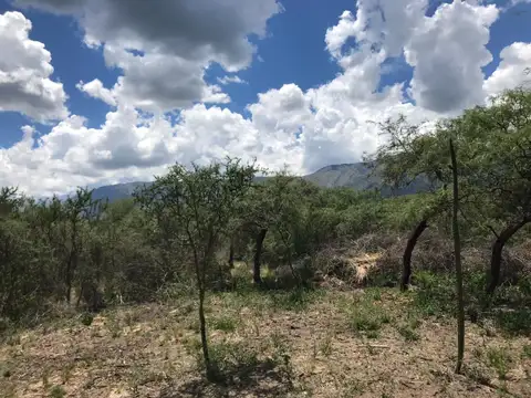 René Favaloro - La Paz