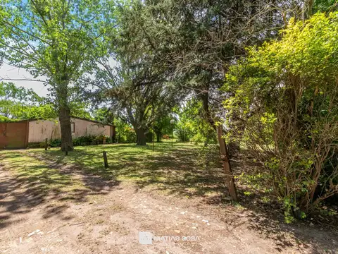 Venta - Campo - 5 hectáreas - Frutales