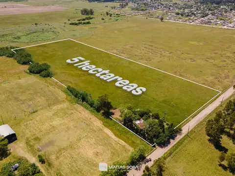 San Francisco Javier 500