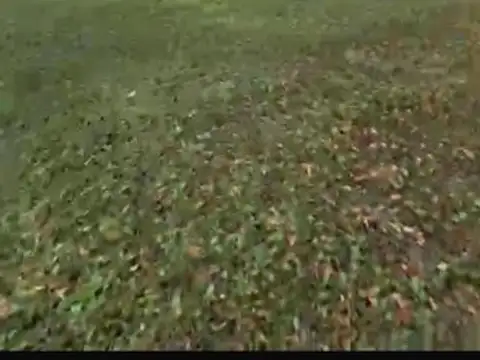TERRENO SAN LORENZO