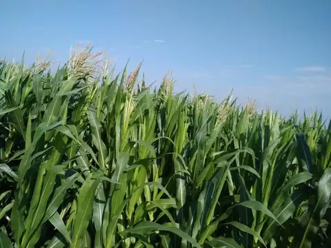 Fortin Inca Sgo del Estero  al 5000