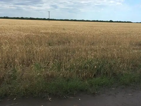 Fortin Inca Sgo del Estero  al 5000