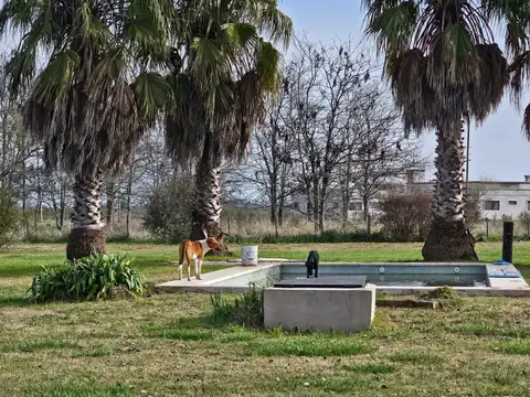 Venta Quinta con pileta y gran parque en Chacras del Alba Cañuelas