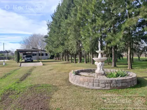 Quinta en Venta en Coronel Brandsen, USD 175.000