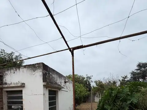 Paraguay 100