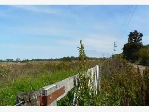 Campo en Venta de 4  ha