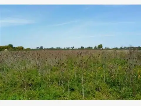 425 Y 201: 4 HECTÁREAS EN VENTA