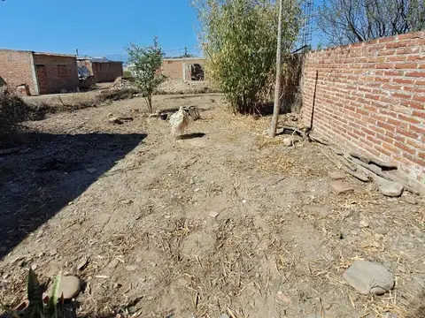 Terreno en Venta de 250,0 m2