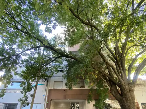 Calle 3 1500, Piso 4