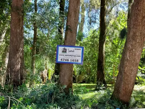 Terreno en Venta en Arroyo Carapachay, USD 65.000