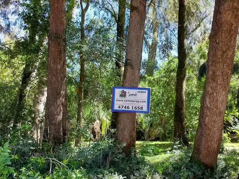 Rio / Arroyo Carapachay KM 16 100